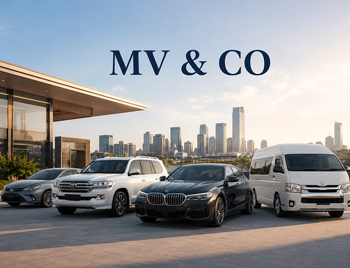 MV &amp; Co