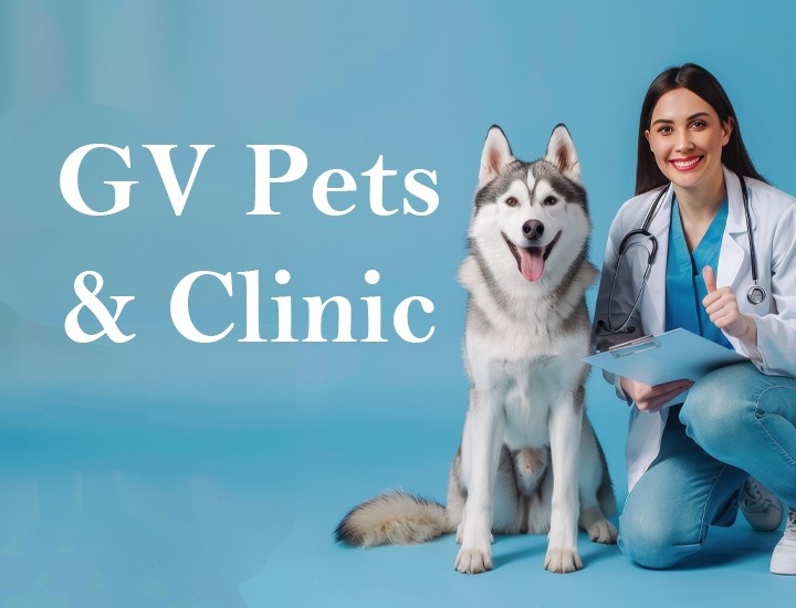GV Pets &amp; Clinic