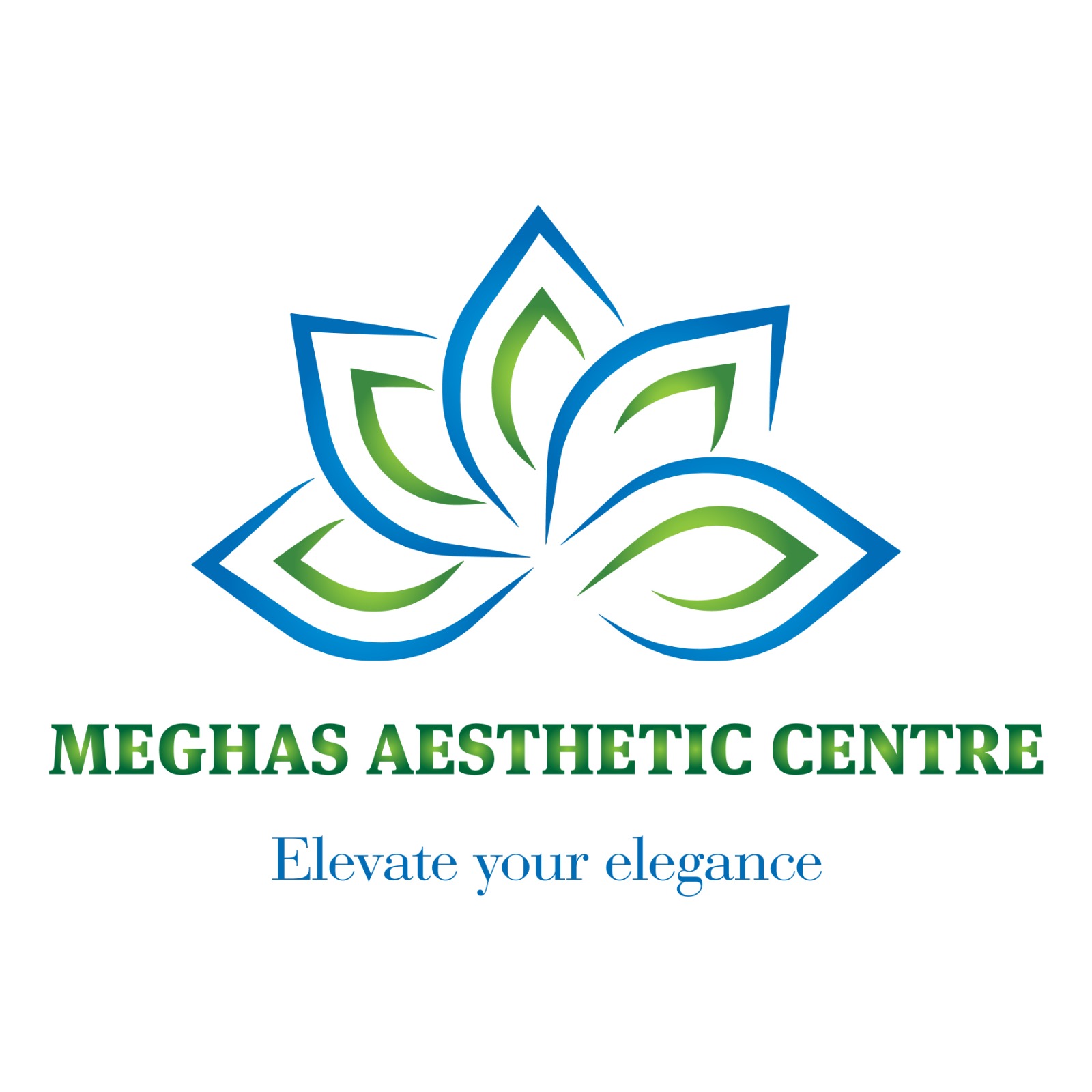 Megha's Aesthetic &amp; Parlour Services
