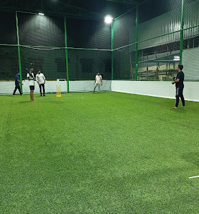 Turf on Roof