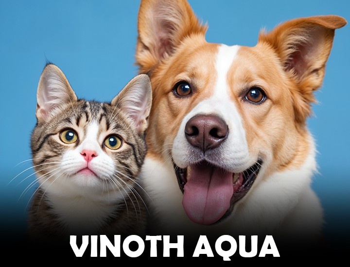 Vinoth Aqua